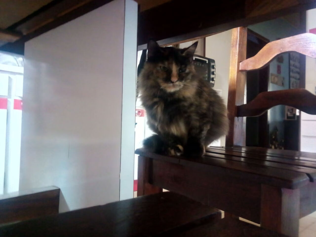 开云体育APP下载-塞内加尔3-0巴西，佩德里戴帽背后的足球平行宇宙