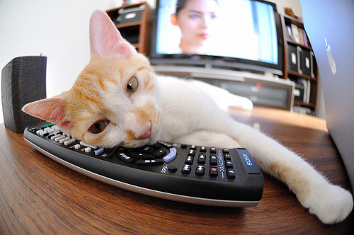 草台班子的逆袭，当多特蒙德乱入美加墨世界杯