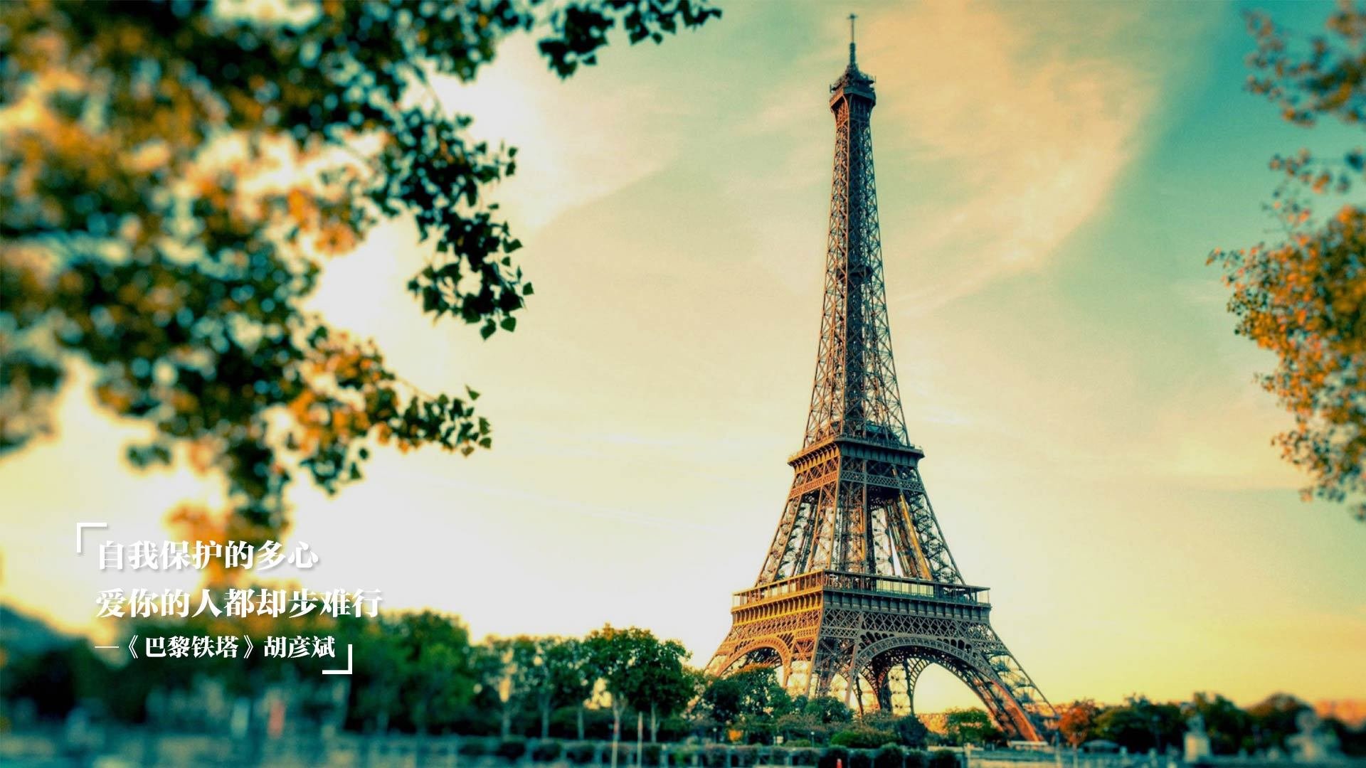 大师棋局,切特一手导演的攻防奏鸣曲,休斯顿火箭冲垮芝加哥公牛防线