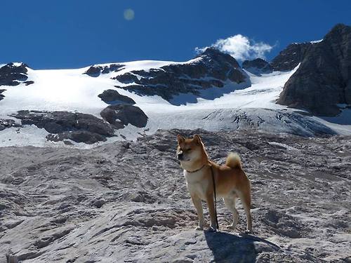 足球的唯一性，里昂碾压德国与萨拉赫接管英超争冠