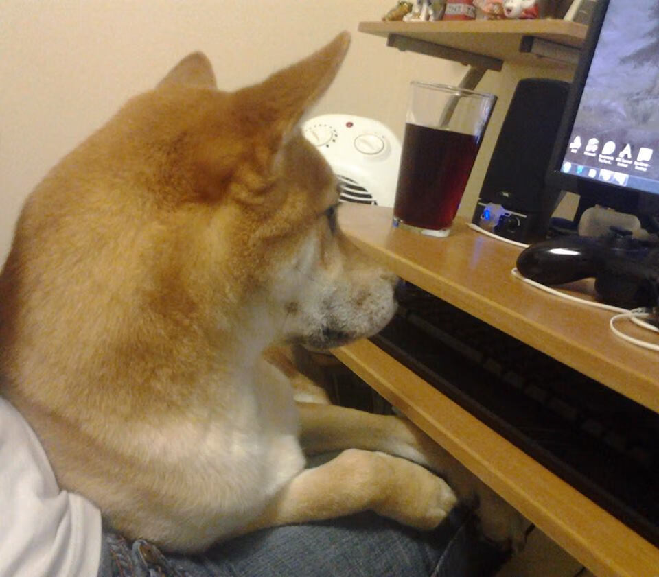 开云体育在线-篮球双城记，新疆终结浙江，利拉德西决展神威